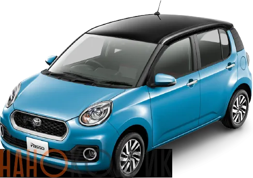 Автомобильные коврики ЭВА (EVA) для Toyota Passo III правый руль (M700A 2WD) 2016-2018 