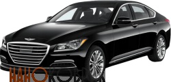 Автомобильные коврики ЭВА (EVA) для Genesis G90 I 2016-2022 